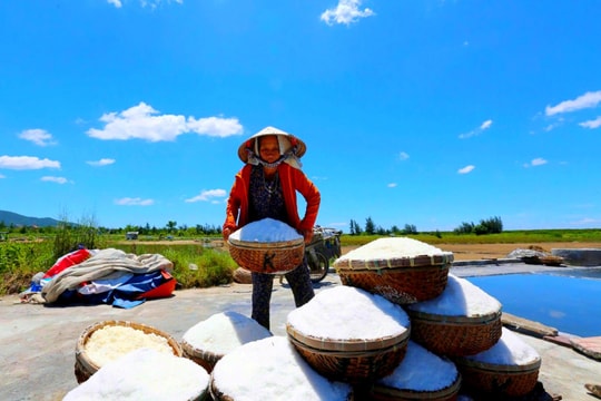 Nghề muối và nỗi lo mai một