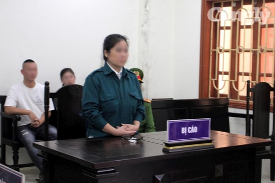 Mạo danh cán bộ ngân hàng, lừa đảo chiếm đoạt gần 500 triệu đồng