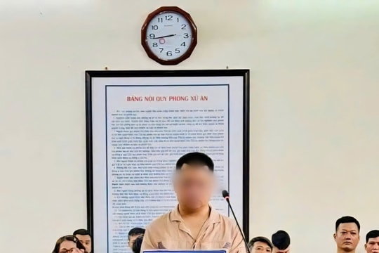 Va chạm chết người rồi bỏ đi, tài xế xe ô tô lĩnh án