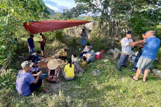 Triệt phá tụ điểm đánh bạc giữa rừng ở Lâm Đồng