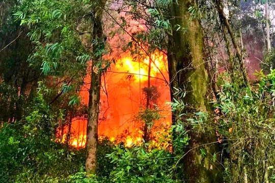 Sét đánh gây cháy rừng ở Thiên Nhẫn