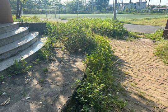 Nhếch nhác khu Giáo dục thể chất Trường THPT chuyên Lam Sơn