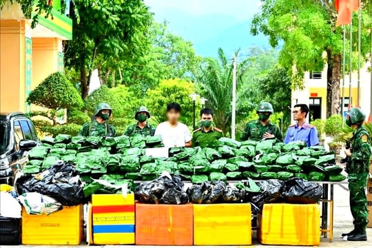 Bắt đối tượng vận chuyển 240 kg cần sa khô