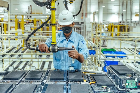 Việt Nam đối mặt nguy cơ thiếu nhân lực xanh