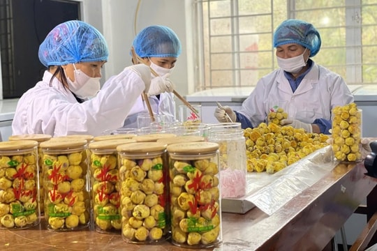 OCOP tại Quảng Ninh: Khởi nghiệp từ giá trị bản địa, vươn xa thị trường quốc tế