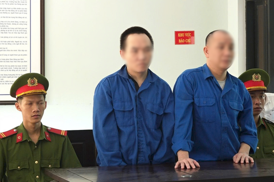 Mang 'hàng đá' vào Huế chưa kịp bán đã bị bắt quả tang