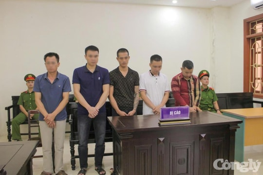 Trộm cắp di vật, cổ vật tại đình, chùa, 5 bị cáo lĩnh án