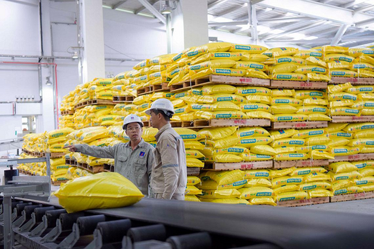 Ba động cơ giúp ngành phân bón có một năm "đẹp số"