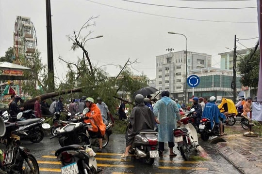 Cây xanh bật gốc khiến 2 người đi đường bị thương