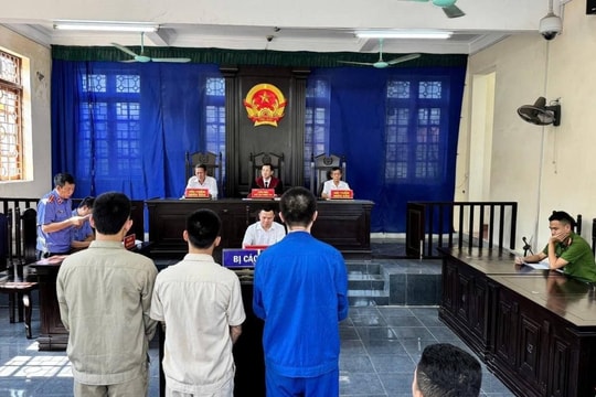 Tổ chức sử dụng ma túy, 3 người cùng trả giá