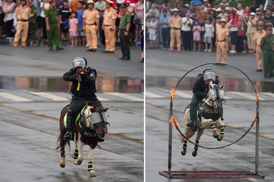 Người dân đội mưa xem Kỵ binh biểu diễn tại Hải Phòng