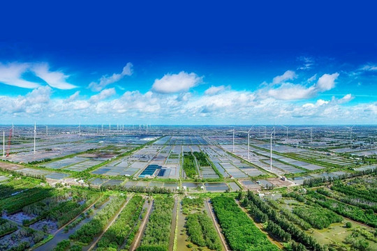 Để kinh tế tư nhân trở thành “đầu tàu” của chuyển dịch xanh