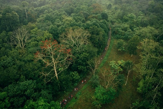 Nỗ lực tìm kiếm du khách mất tích trong rừng Cúc Phương