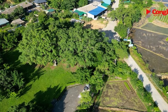 Đến với quê hương cách mạng dựng nền Cộng hòa