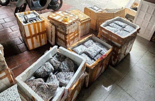 Phát hiện hơn nửa tấn nhái bốc mùi chuẩn bị bán ra thị trường