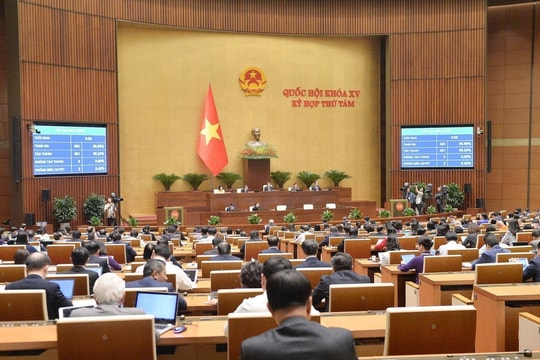 Đề xuất thành lập Hội đồng quốc gia về tư pháp người chưa thành niên