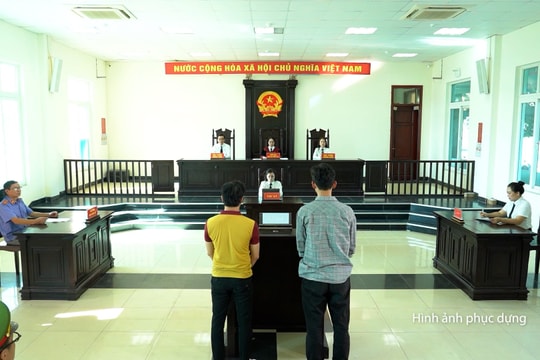 Niềm tin Công lý: Trả giá cho hành vi phá rừng