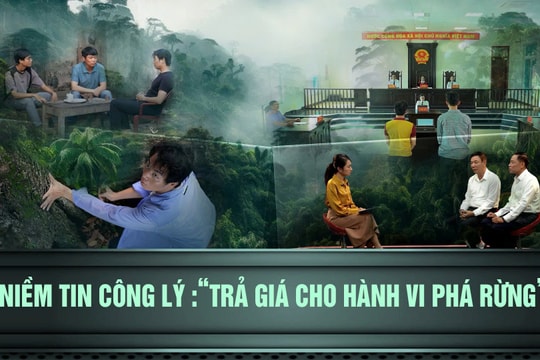 Niềm tin Công lý: “Trả giá cho hành vi phá rừng”
