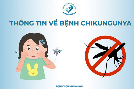 Hà Nội siết chặt phòng, chống bệnh Chikungunya, không để dịch lan rộng