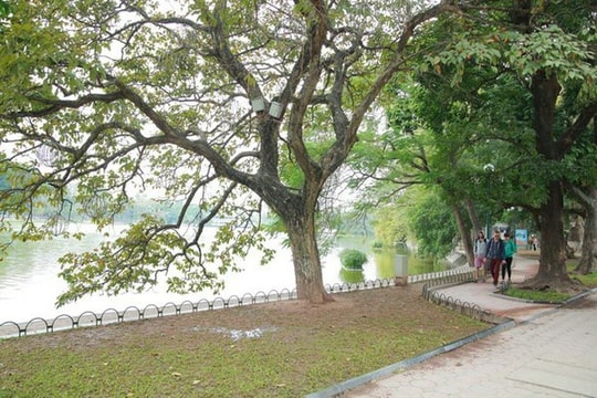 Thời tiết hôm nay 6/9: Bắc Bộ và Trung Bộ nắng nóng