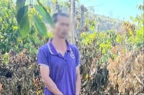 Tuyên án đối tượng chặt hạ hàng trăm cây sầu riêng, cà phê, tiêu