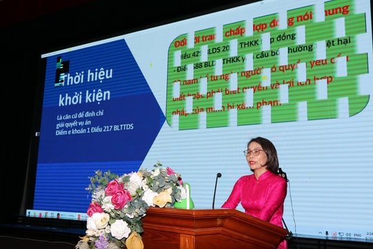 Tập huấn chuyên đề giải quyết các vụ án dân sự của TAND khu vực theo thẩm quyền mới