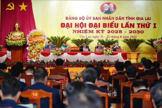 Bí thư Gia Lai: Không có ngoại lệ trong xử lý vi phạm