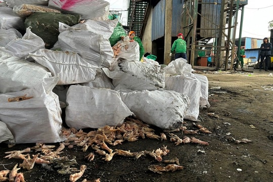 Hải Phòng xử lý hơn 1.000 vụ buôn lậu, gian lận thương mại, hàng giả