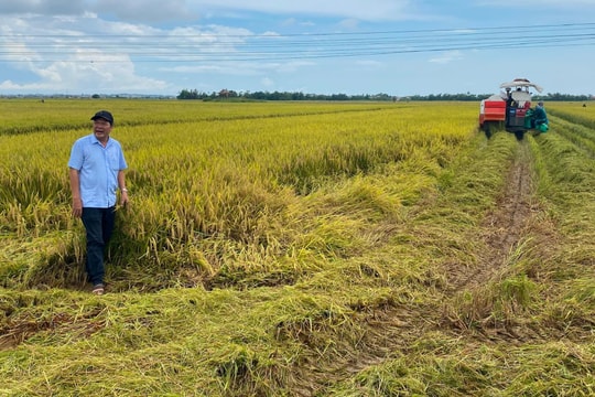 Huế triển khai khẩn cấp công tác ứng phó với bão số 5 (Kajiki)