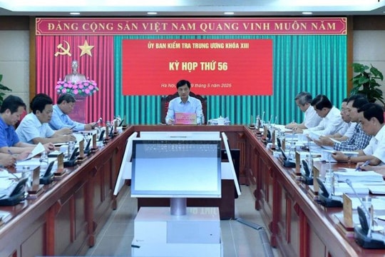 Bộ Chính trị, Ban Bí thư thi hành kỷ luật tổ chức đảng, đảng viên vi phạm