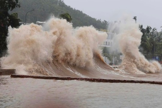 Các đơn vị, địa phương không chủ quan trước diễn biến của bão số 5