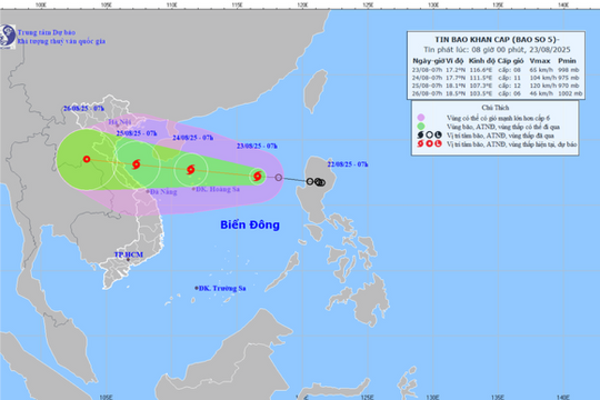 Đà Nẵng khẩn trương triển khai biện pháp ứng phó bão số 5 (Kajiki)