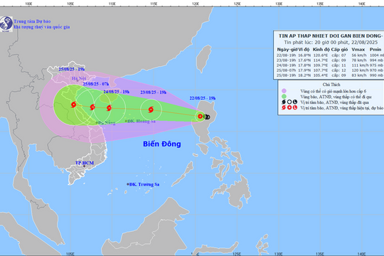 Thủ tướng chỉ đạo khẩn trương ứng phó với bão số 5 dự kiến đổ bộ Trung Bộ