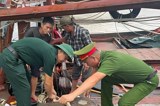 Chủ động trong phòng, chống cơn bão số 5