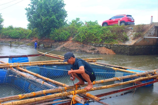 Người dân chủ động gia cố, bảo vệ diện tích nuôi trồng thủy sản