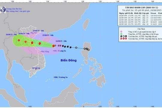 Ban Bí thư: Không được lơ là chủ quan với cơn bão số 5 - Kajiki