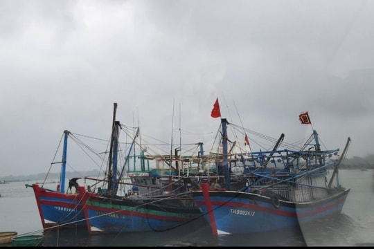 Thanh Hóa thực hiện cấm biển từ 8 giờ sáng nay