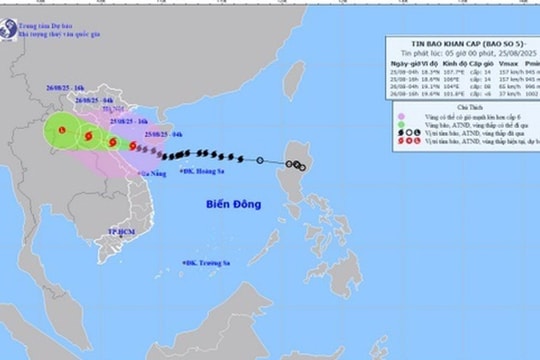 Hải Phòng đưa hơn 1.400 tàu thuyền vào nơi tránh trú bão an toàn