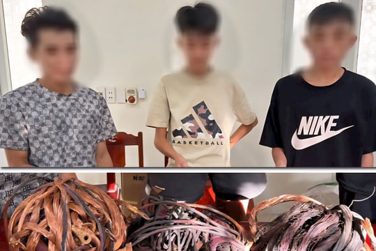 Bắt giữ nhóm trộm dây điện tàu cá sau vài giờ gây án