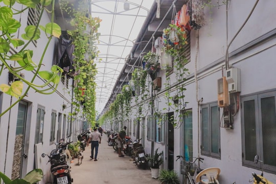 Xu hướng cho thuê nhà sẽ tiếp tục "nóng"