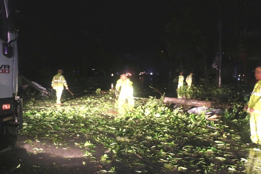 Xuyên đêm dọn cây đổ, CSGT Nghệ An mở đường giữa tâm bão