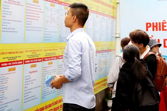 Triển khai thi hành Luật Việc làm