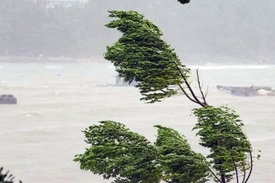 Thủ tướng chỉ đạo nhanh chóng khắc phục hậu quả bão số 5, khôi phục sản xuất