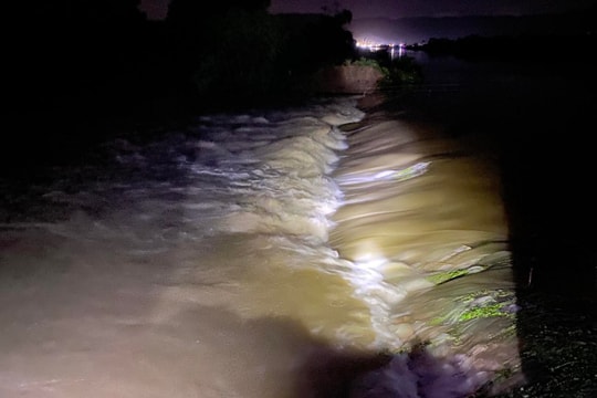 Thanh Hóa vỡ đê kênh T2, hàng trăm hécta lúa bị nhấn chìm