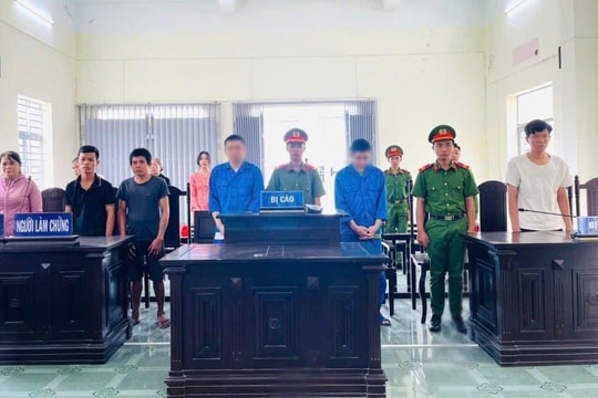 Hai anh em ruột lĩnh án vì đánh người