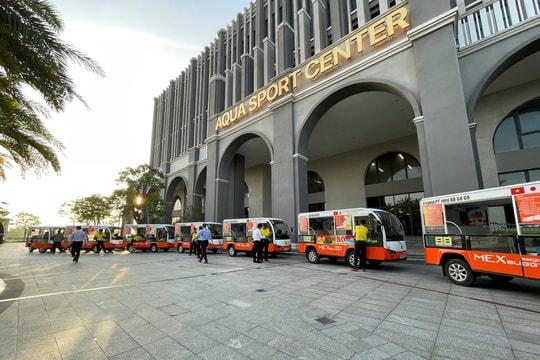 TP.HCM đề xuất đưa xe điện 4 bánh hoạt động trở lại