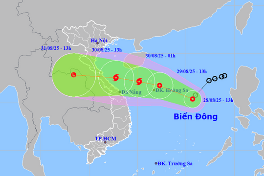 Đà Nẵng triển khai ứng phó áp thấp nhiệt đới