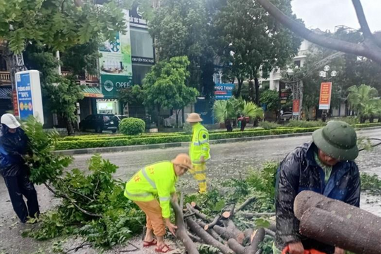 Thủ tướng: Khẩn trương khắc phục thiệt hại tại trường học và bệnh viện do thiên tai