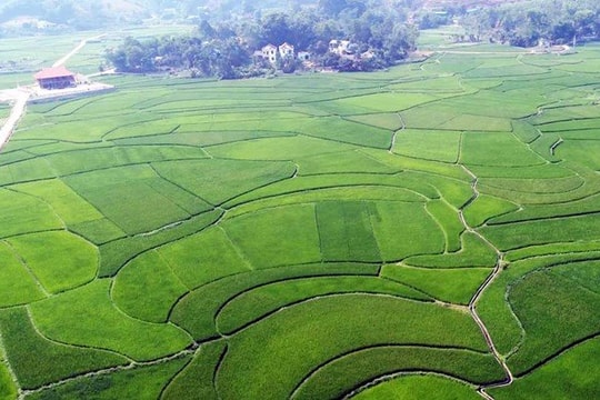 Tín chỉ Carbon - Hướng đi mới cho nông nghiệp xanh tại Thái Nguyên