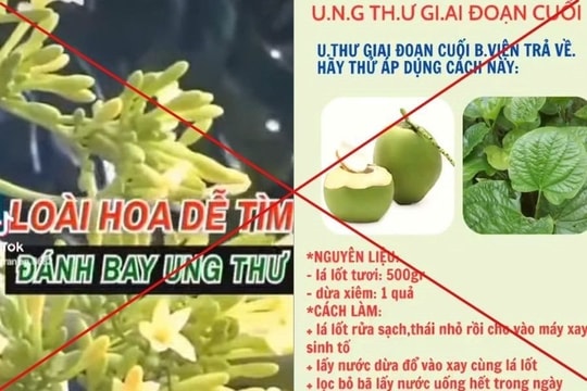 Bệnh nhân ung thư bỏ qua cơ hội sống khi tin vào cây lá